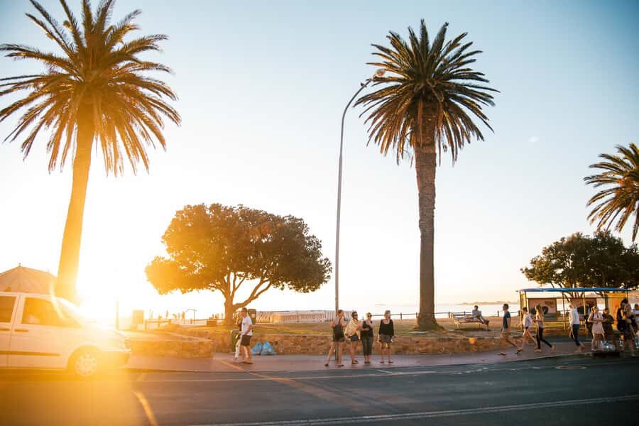 Cape Town: Introductory City Tour by Foot and Minibus - Company Gardens and the South African Museum Stop (Optional)