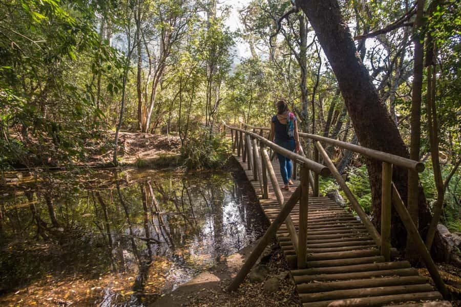 Cape Town: Kirstenbosch Botanical Garden Entry Ticket - Arrival and Entry: Using Your Email and WhatsApp Ticket Correctly