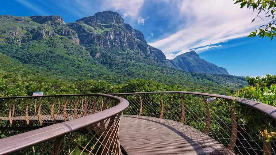 Cape Town: Kirstenbosch Botanical Garden Entry Ticket - The Boomslang Tree Canopy Walkway: Your Best Moment for Big Views