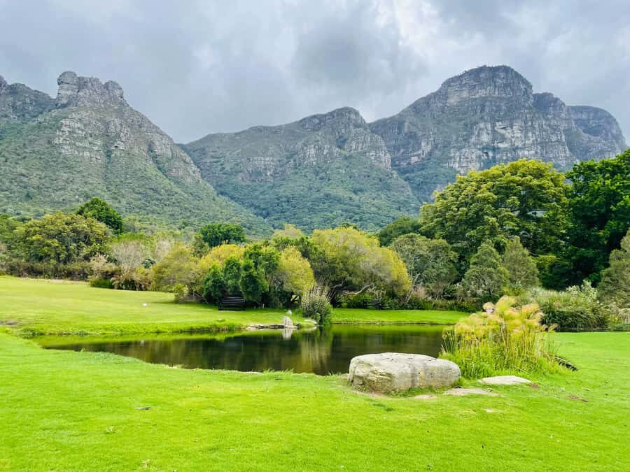 Cape Town: Kirstenbosch Botanical Garden Entry Ticket - Serene Garden Breaks and the Quiet Work of Conservation