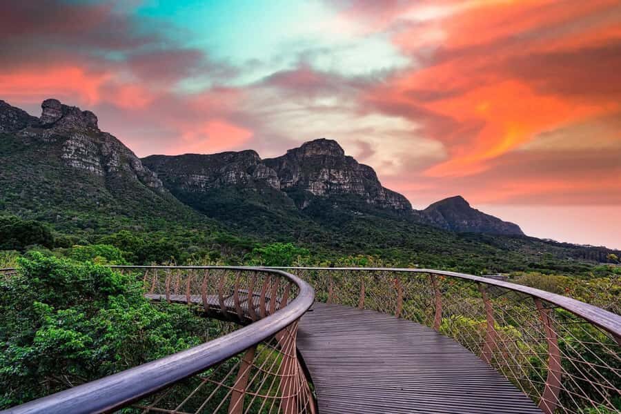 Cape Town: Kirstenbosch Botanical Garden Entry Ticket - Steep Paths, Sturdy Shoes, and a Realistic Walking Plan