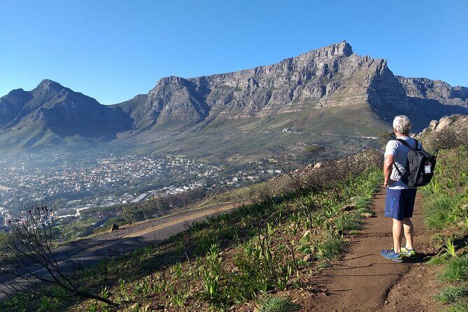 Cape Town: Lion's Head Hike - Price and value: is $80.52 per person fair?