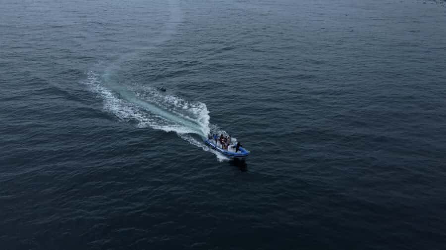 Cape Town: Marine Biologist Led Safari Tour - V&A Waterfront - Weather reality: how to handle the day the sea isn’t cooperating