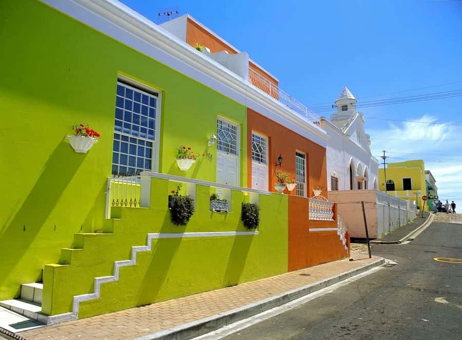 Cape Town: Marine Wildlife Cruise and City Tour - Key Things I’d Bet on (Before You Go)