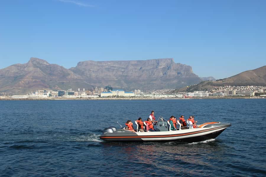 Cape Town: Marine Wildlife Cruise and City Tour - Table Bay Boat Cruise: Seals, Penguins, Dolphins, Maybe a Whale