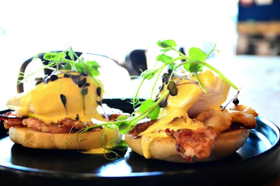 Cape Town: Morning Prosecco Cruise & Mimosa Breakfast - Wildlife spotting without getting in the way