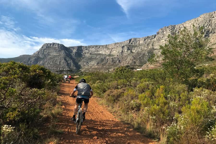 Cape Town: Mountain Biking Trip along Table Mountain - Key Points at a Glance