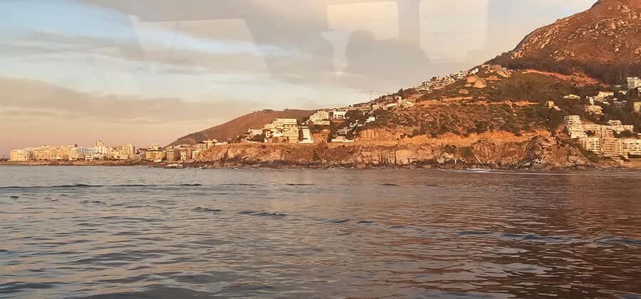 Cape Town: Ocean Safari 1 Hour - Key Highlights You’ll Care About