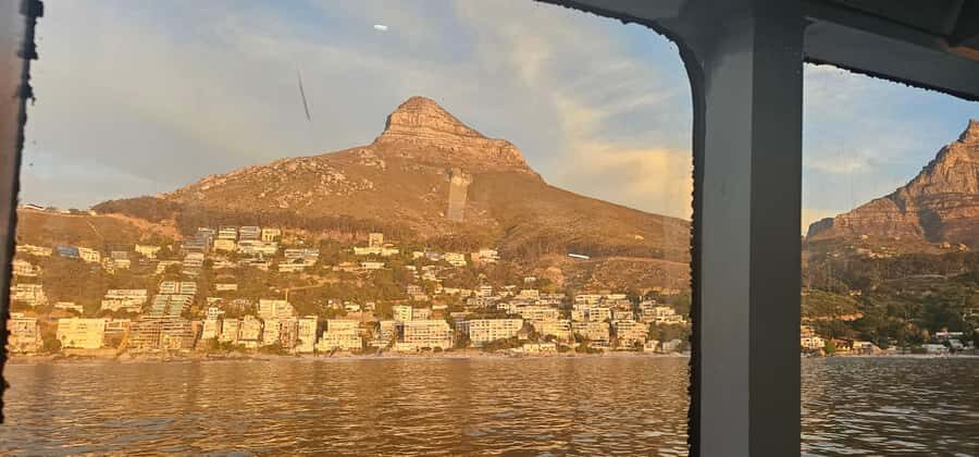 Cape Town: Ocean Safari 1 Hour - Why This 1-Hour Ocean Safari Fits Cape Town Perfectly