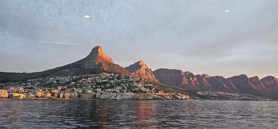 Cape Town: Ocean Safari 1 Hour - Table Mountain From Sea Level: The Views That Make the Hour Feel Longer