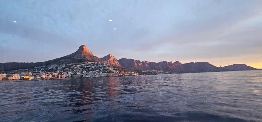Cape Town: Ocean Safari 1 Hour - Guide Commentary: Marine Facts, Local Insight, and Seat Placement