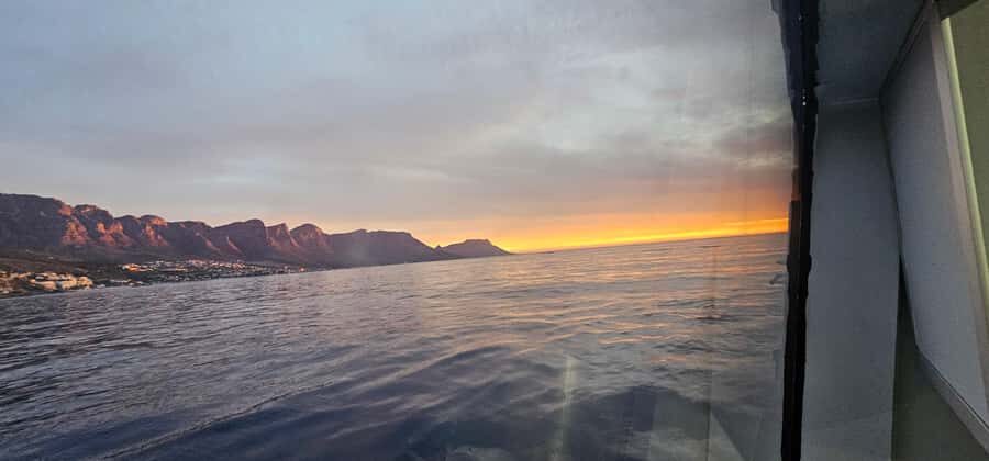 Cape Town: Ocean Safari 1 Hour - Comfort, Motion, and Who This Is Really For