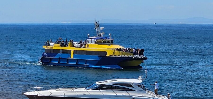 Cape Town: Ocean Safari 1 Hour - Price and Value: Is $62 for One Hour Worth It?