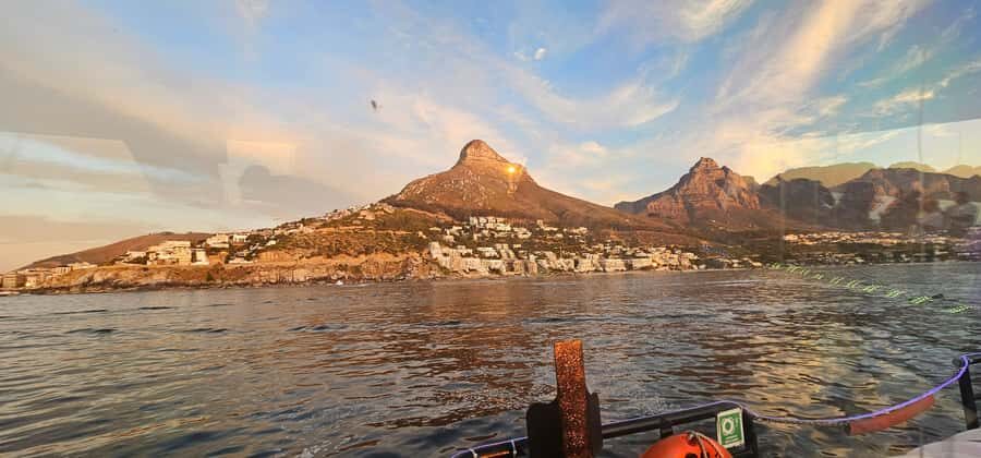 Cape Town: Ocean Safari 1 Hour - Getting to the Water: Nelson Mandela Gateway Boarding Reality