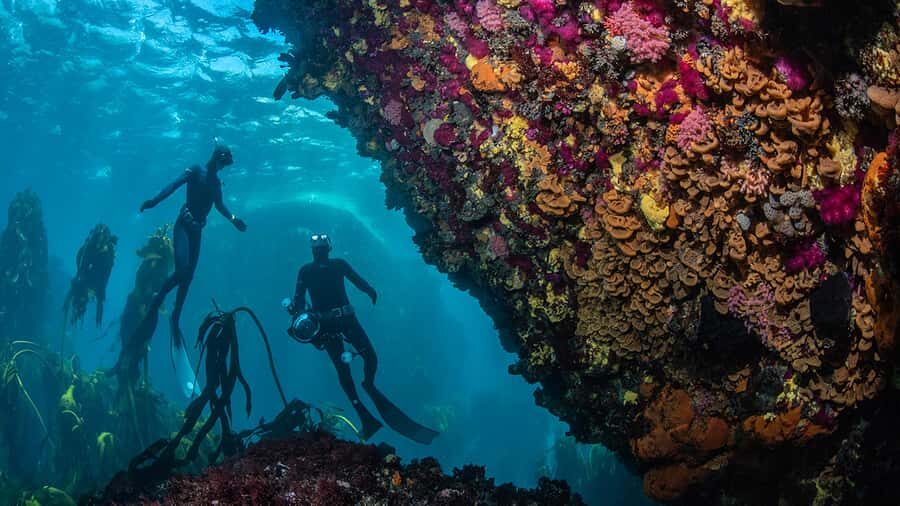 Cape Town: Ocean Safari in Hout Bay - Time in the Water: What 4 Hours Actually Feels Like
