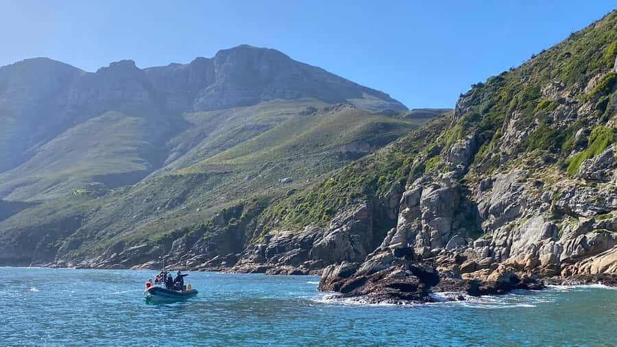 Cape Town: Ocean Safari in Hout Bay - Who Should Book This Ocean Safari (And Who Should Skip It)