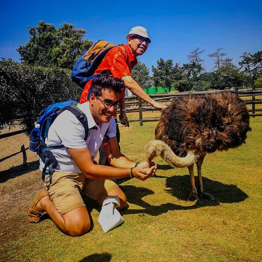 CAPE TOWN: OSTRICH RANCH QUAD BIKE RIDE & OSTRICH TOUR - The Quad Bike Ride: Dust, Control, and Those Cape Views