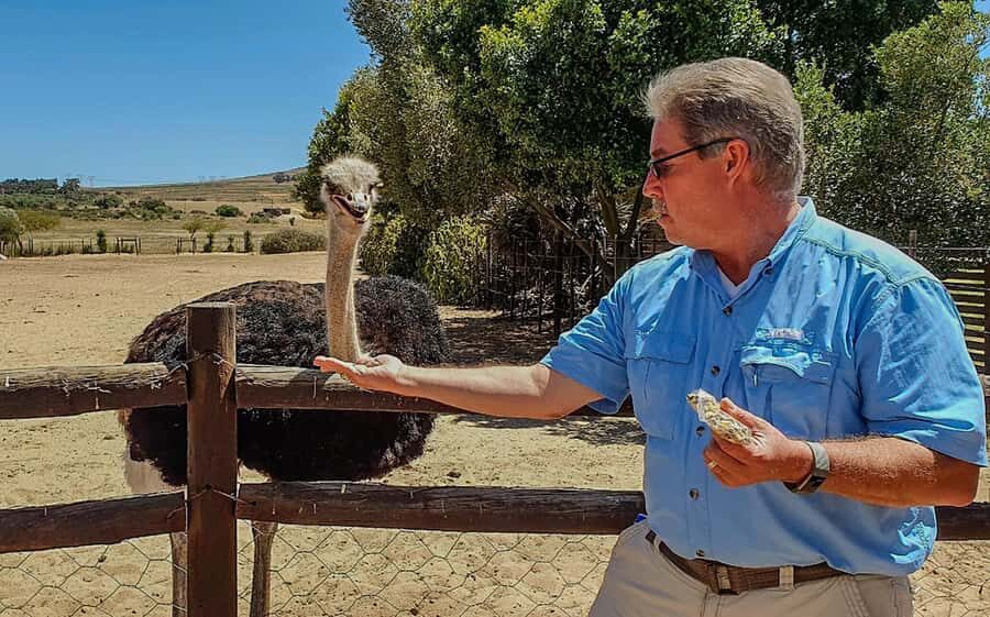 CAPE TOWN: OSTRICH RANCH QUAD BIKE RIDE & OSTRICH TOUR - Price and Value: Is $62 for 2 Hours Fair?