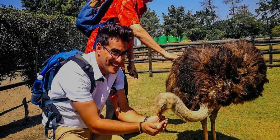 CAPE TOWN: OSTRICH RANCH QUAD BIKE RIDE & OSTRICH TOUR - Timing, Guides, and the Importance of the Handoff