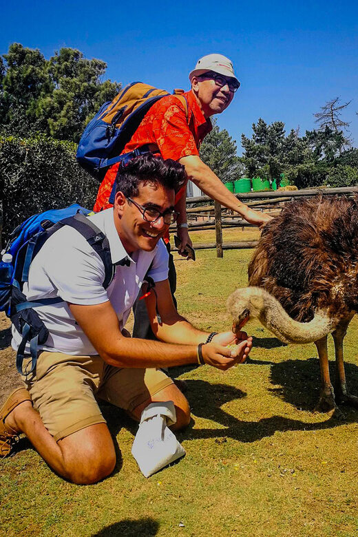CAPE TOWN: OSTRICH RANCH QUAD BIKE RIDE & OSTRICH TOUR - Site Extras: Food and Other Ranch Atmosphere
