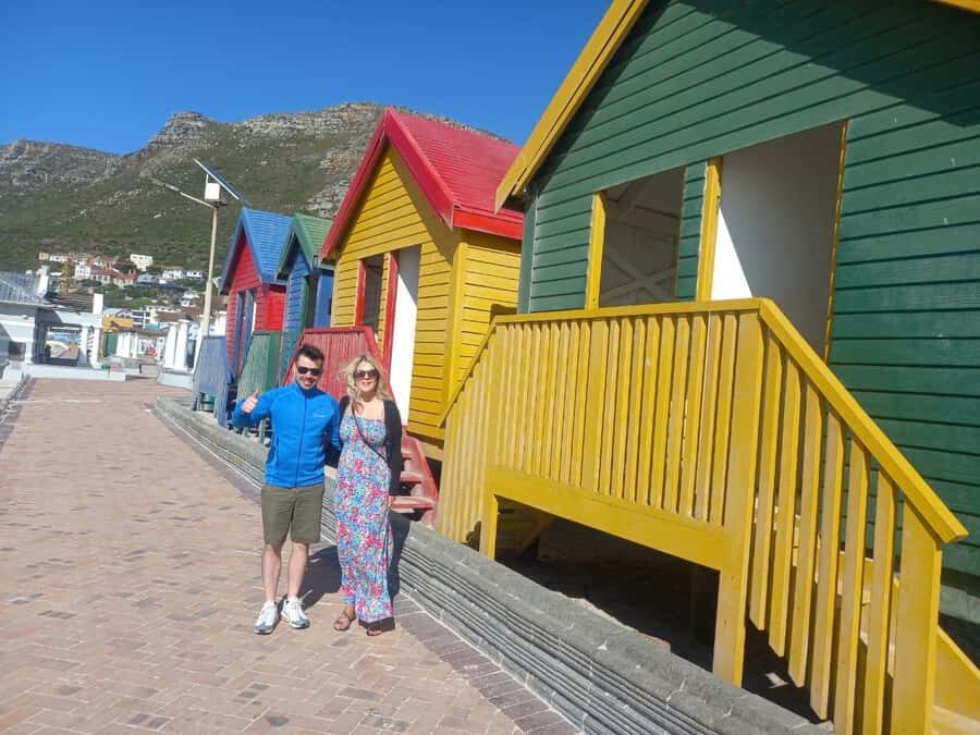 Cape Town .Penguin & Cape of good hope Half day Share Tour - Should you book this tour?