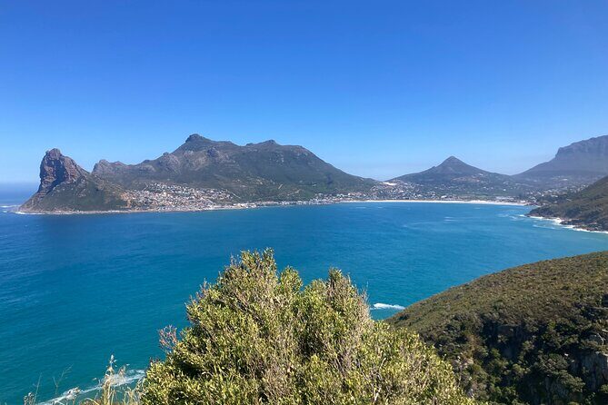 Cape Town: Peninsula, Cape of Good Hope and Penguins Tour - Key highlights you’ll actually feel during the day