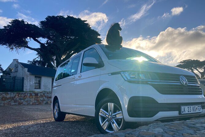 Cape Town: Peninsula, Cape of Good Hope and Penguins Tour - Boulders Beach Penguin Colony: up-close African penguins at walking speed