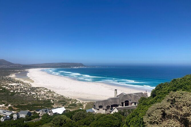 Cape Town: Peninsula, Cape of Good Hope and Penguins Tour - Price and value: what you’re really paying for
