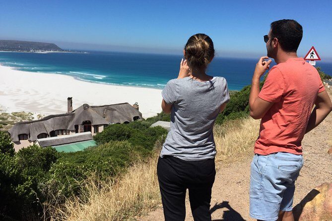 Cape Town Peninsula Day Tour ( Cape Point/Boulders/Wine Tasting) - Cape of Good Hope and Cape Point: Hike Option or Funicular Ride