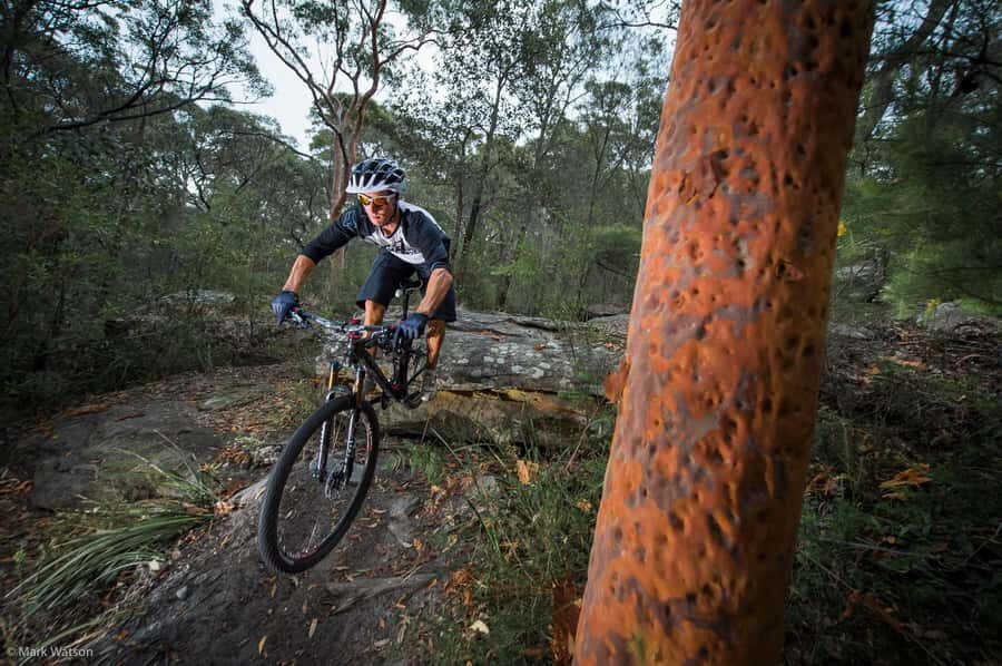 Cape Town: Peninsula Private Mountain Bike Tour with Ex-Pro - Key highlights I’d plan around