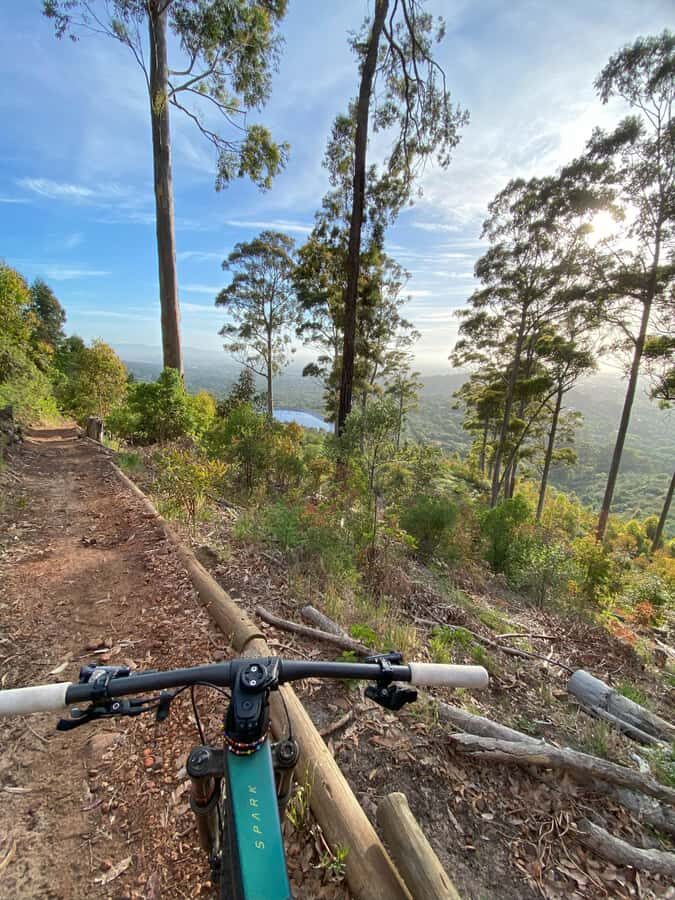 Cape Town: Peninsula Private Mountain Bike Tour with Ex-Pro - Should you book this private Peninsula MTB with an ex-pro?
