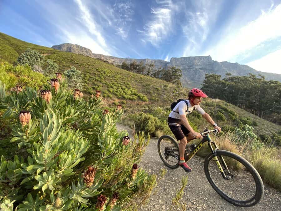 Cape Town: Peninsula Private Mountain Bike Tour with Ex-Pro - Southern Peninsula trail mix: greenbelts, vineyards, singletrack, and skills features
