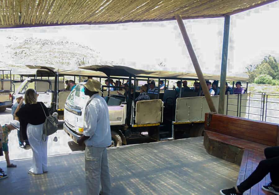 Cape Town: Private Aquila Reserve Safari with Winery Lunch - Entrance fee math: why the park charge matters more than the headline price