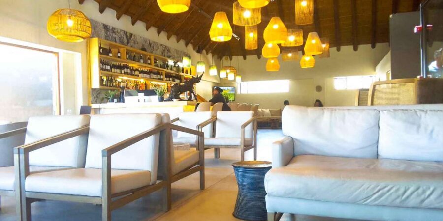 Cape Town: Private Aquila Reserve Safari with Winery Lunch - Who should book this Aquila + Fairview day, and who should skip it
