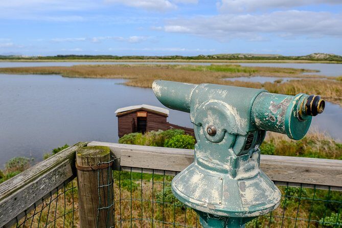 Cape Town Private Birding Tour - Strandfontein sewage works: the place birds love (and you’ll understand why)