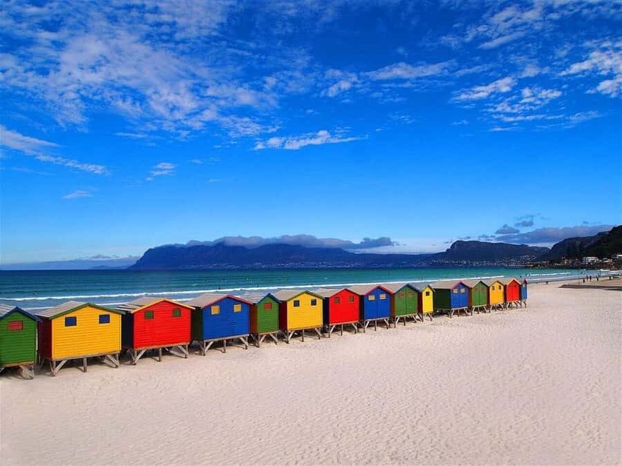 Cape Town: Private Full-Day Cape of Good Hope Tour - Private pickup and Mercedes-style comfort that actually matters