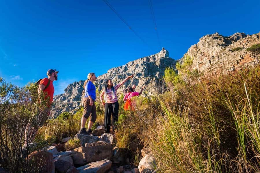 Cape Town Private Guided Table Mountain Hikes - Key points to know before you go