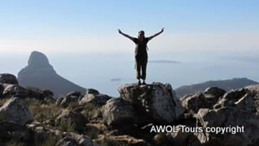 Cape Town Private Guided Table Mountain Hikes - The hike itself: breaks, photos, safety, and interpretation
