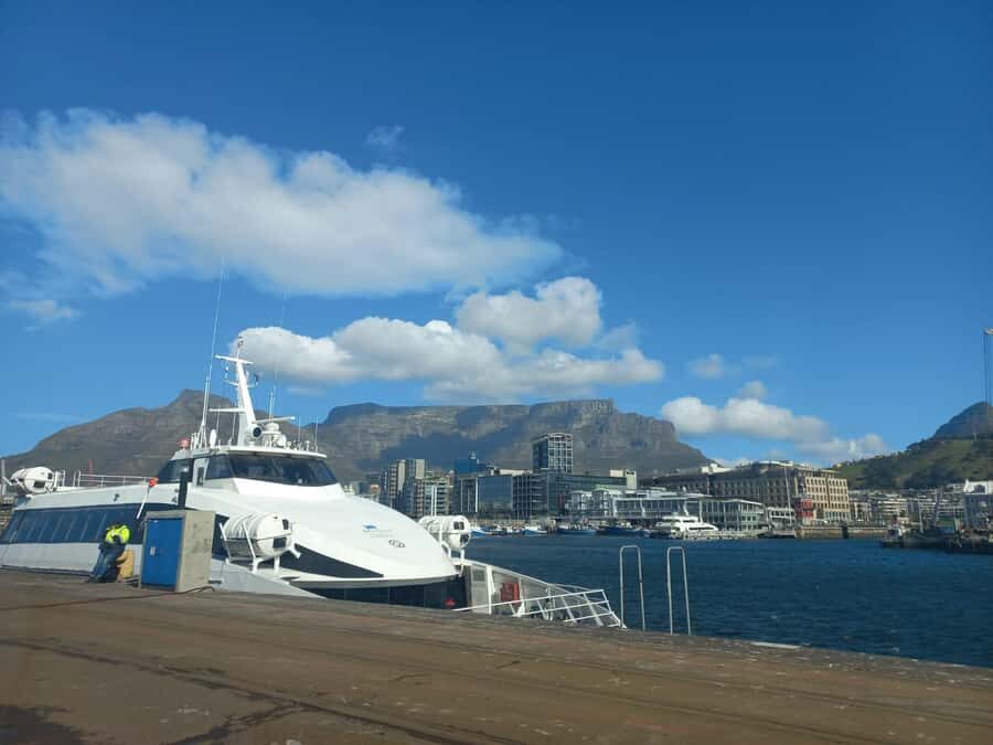 Cape Town: Private Robben Island Half-Day Tour with Pickup - Bus ride around the island: seeing the full prison geography