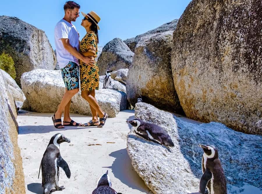 Cape Town Private Tour to Cape Of Good Hope and the Penguins - Key Things I’d Put at the Top of Your List