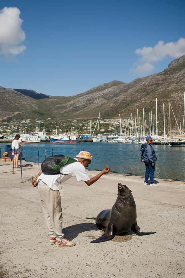 Cape Town: Private Tour with Customizable Itinerary - Weather, Health, and Comfort: How to Prepare for a Smoother Day