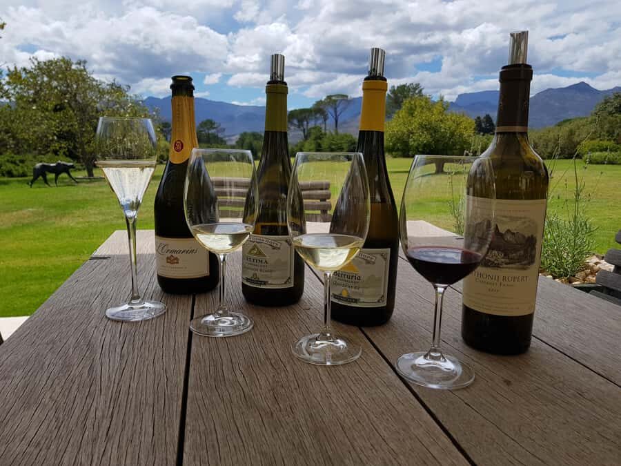 Cape Town: Private Wine Tour - Steenberg Farm: flagship wines and a bigger tasting menu