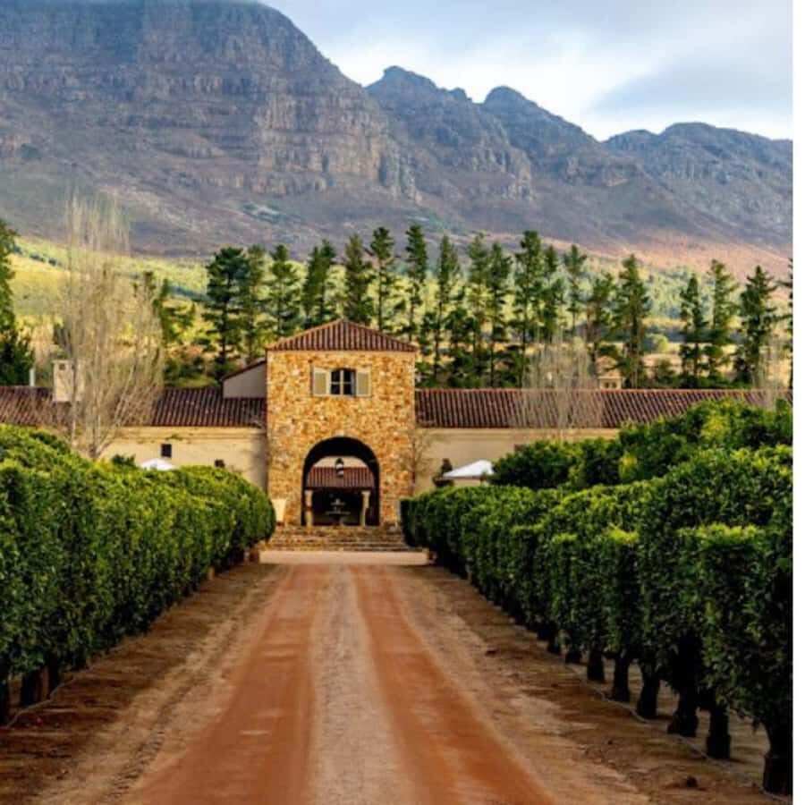 Cape Town: Private Wine Tour with Tastings and Lunch - Key things that make this private wine tour work
