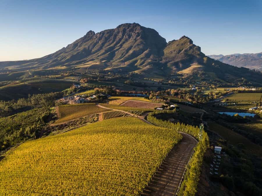 Cape Town: Private Wine Tour with Tastings and Lunch - Why a private Cape Winelands day feels different than DIY