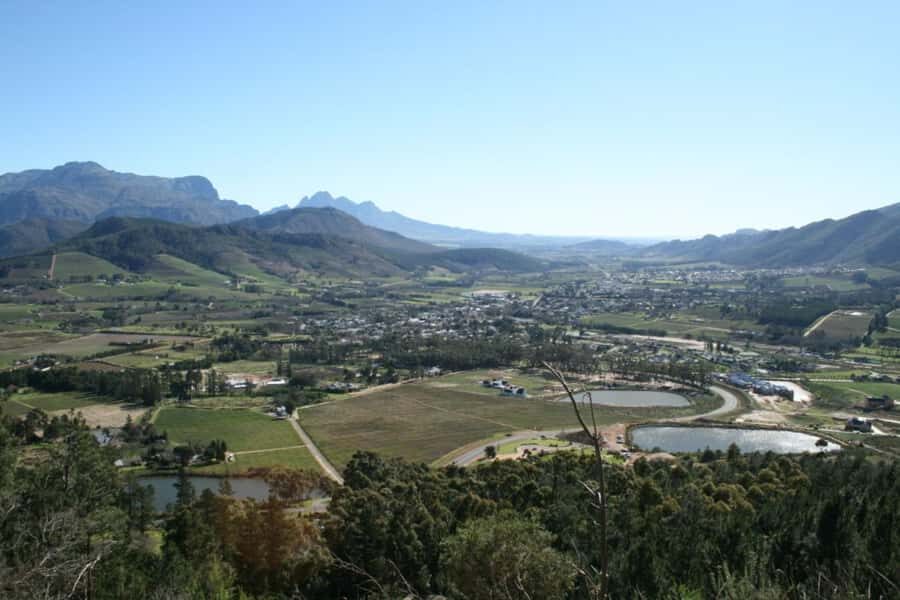 Cape Town: Private Wine Tour with Tastings and Lunch - Private luxury vehicle: comfort that makes wine touring easier