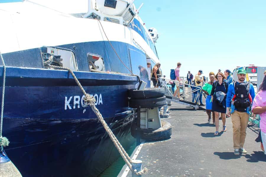 Cape Town: Robben Island ferry ticket plus Guided Tour - Nelson Mandela Gateway: Getting on the ferry without the hassle