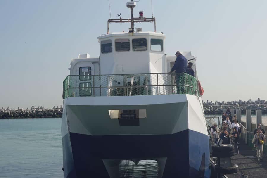 Cape Town: Robben Island Museum Tour with Ferry Ride - What to bring for a cold ferry and a long walk