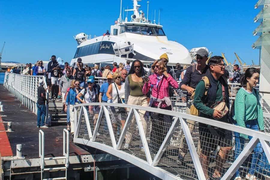 Cape Town: Robben Island plus Table Mountain Tickets - The return ferry and that first Table Mountain look
