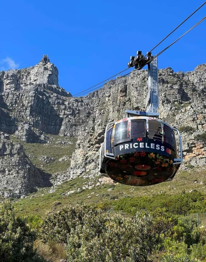 Cape Town: Robben Island Tour Tickets and V&A Waterfront - Who this tour fits best in your Cape Town plans