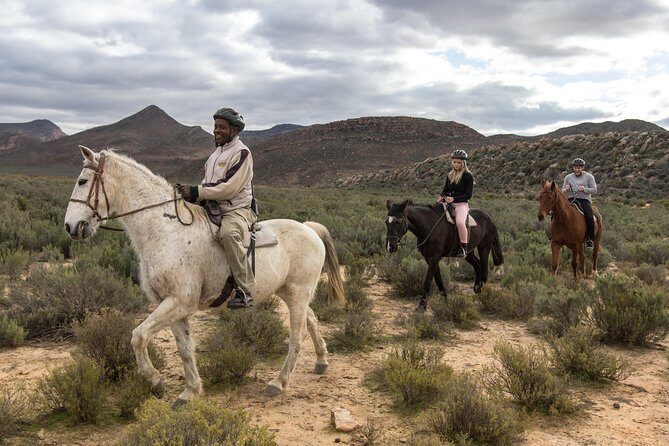 Cape Town Safari Big 5 experience all inclusive - The Big Five-style sightings: what you can expect to look for
